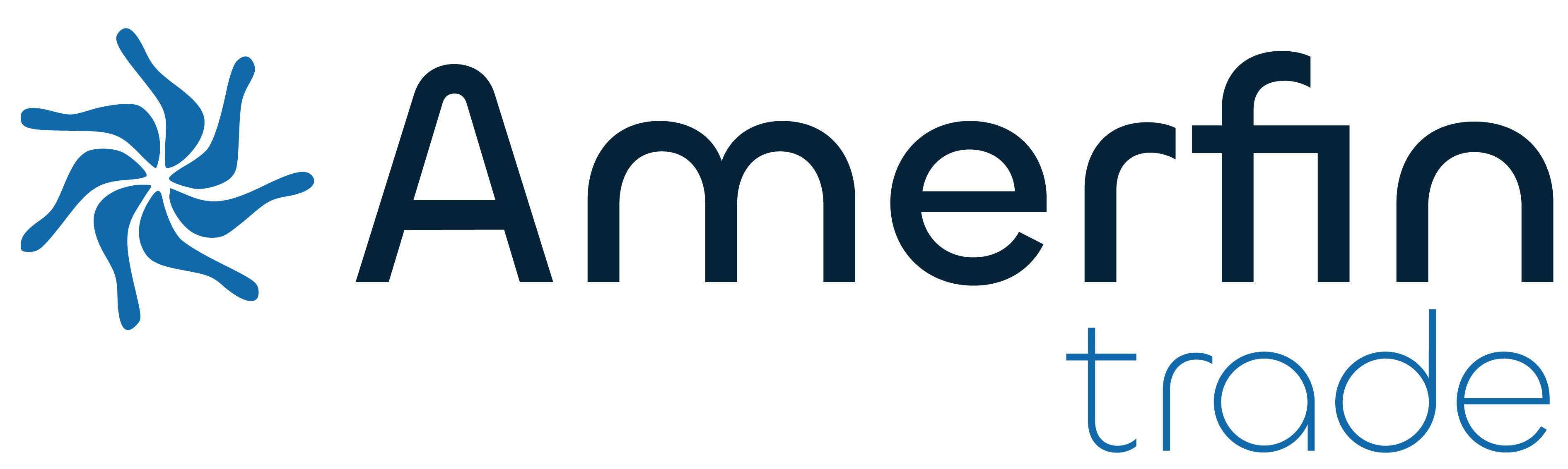 Amerfin SAS